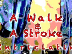 A Walk And A Stroke At The State Park
